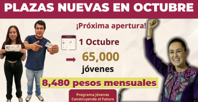 Jóvenes Construyendo el Futuro inscripciones abiertas desde el 1 de octubre para cobrar 8,480 pesos mensuales
