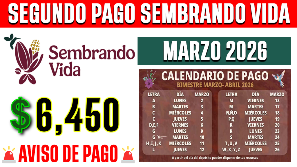 YA CAYO PAGO Sembrando Vida MARZO 2026 6450 PESOS SEGUNDO DEPOSITO OFICIAL