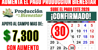 AUMENTO el PAGO de Produccion para el Bienestar 2026 CONFIRMADO