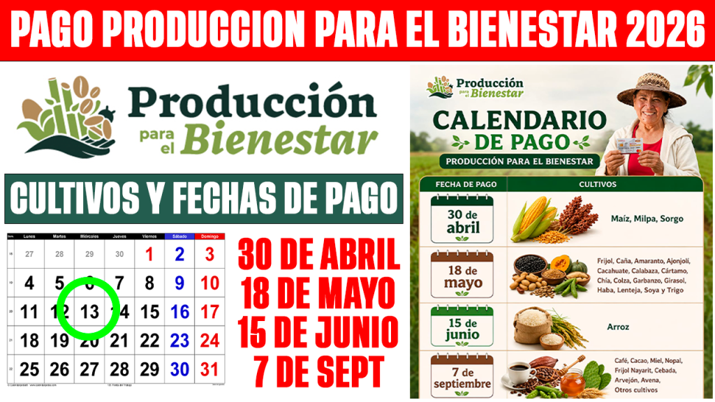 PAGO Producción para el Bienestar 2026 CONFIRMADO Calendario Abril, Mayo, Junio y Septiembre