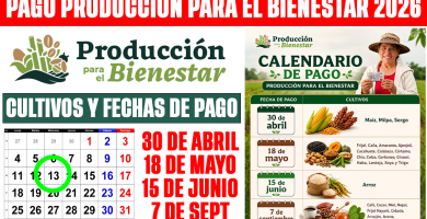 PAGO Producción para el Bienestar 2026 CONFIRMADO Calendario Abril, Mayo, Junio y Septiembre