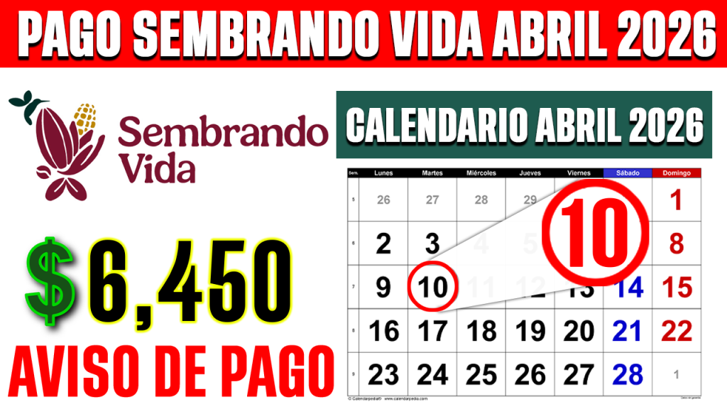 PAGO Sembrando Vida ABRIL 2026 CONFIRMADO 6450 HOY YA TE DEPOSITARON