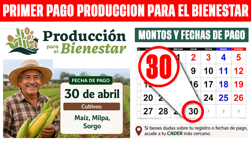 PRIMER PAGO Produccion para el Bienestar 2026 Montos de hasta 24 mil y Lista de beneficiarios