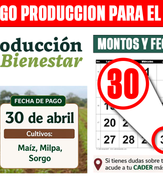 PRIMER PAGO Produccion para el Bienestar 2026 Montos de hasta 24 mil y Lista de beneficiarios
