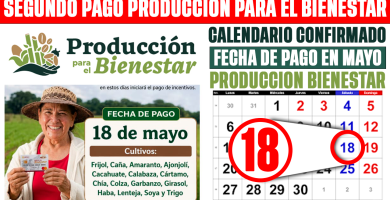 CONFIRMADO PAGO Produccion para el Bienestar 2026 DEPOSITOS de 7000 a 24 MIL el 18 de MAYO