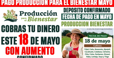 PAGO PRODUCCION para el BIENESTAR 2026 AUMENTO CONFIRMADO DEPOSITAN 18 DE MAYO hasta 24 MIL