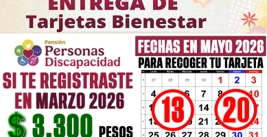 PENSION DISCAPACIDAD MAYO 2026 YA ENTREGAN TARJETAS BIENESTAR Fechas y Requisitos OFICIALES