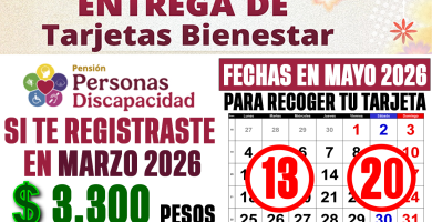 PENSION DISCAPACIDAD MAYO 2026 YA ENTREGAN TARJETAS BIENESTAR Fechas y Requisitos OFICIALES