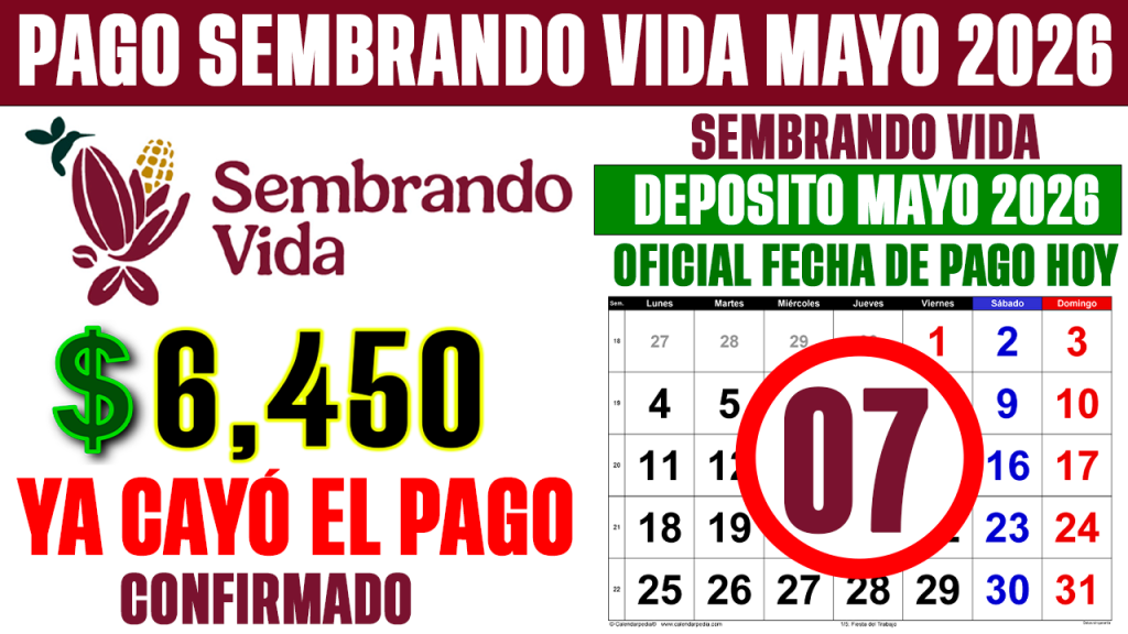 YA CAYO el PAGO de SEMBRANDO VIDA HOY 7 de MAYO 2026 CONFIRMAN DEPOSITOS de 6450 en TARJETAS