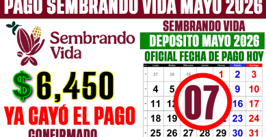 YA CAYO el PAGO de SEMBRANDO VIDA HOY 7 de MAYO 2026 CONFIRMAN DEPOSITOS de 6450 en TARJETAS