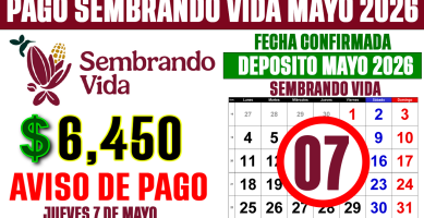 PAGO Sembrando Vida MAYO 2026 6450 EL 7 DE MAYO FECHA OFICIA