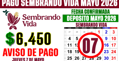 PAGO Sembrando Vida MAYO 2026 6450 EL 7 DE MAYO FECHA OFICIA