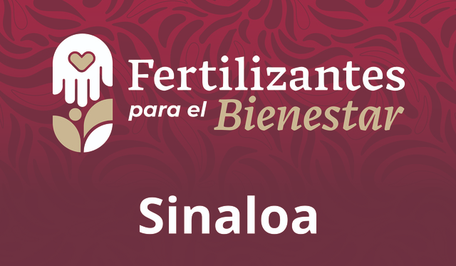 sinaloa