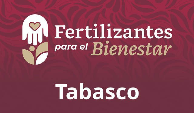 tabasco