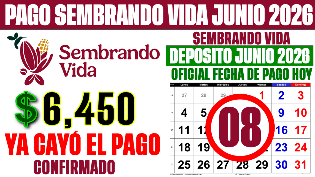 YA CAYÓ el PAGO de SEMBRANDO VIDA HOY 8 de JUNIO 2026