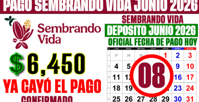 YA CAYÓ el PAGO de SEMBRANDO VIDA HOY 8 de JUNIO 2026