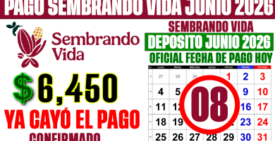 YA CAYÓ el PAGO de SEMBRANDO VIDA HOY 8 de JUNIO 2026