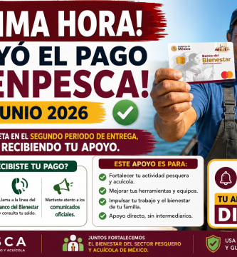pago bienpesca junio 2026