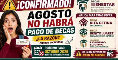 OFICIAL NO Habra PAGO de Becas Bienestar en Agosto 2026