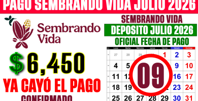 pago sembrando vida julio