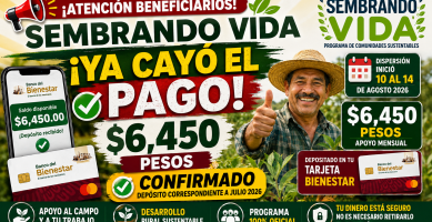 PAGO Sembrando Vida AGOSTO 2026 CONFIRMADO recibes 6450 en tu Tarjeta Bienestar