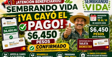PAGO Sembrando Vida AGOSTO 2026 CONFIRMADO recibes 6450 en tu Tarjeta Bienestar