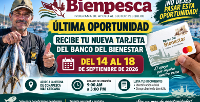 Bienpesca 2026 ultima oportunidad para recoger la nueva Tarjeta del Banco del Bienestar del 14 al 18 de septiembre