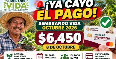 pago de Sembrando Vida octubre 2026